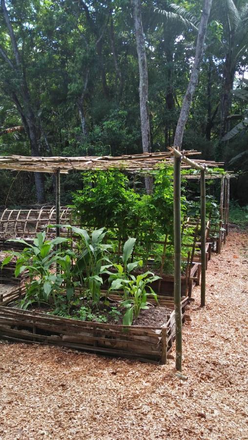 Salty Dog Hostel Telukdalem Bagian luar foto