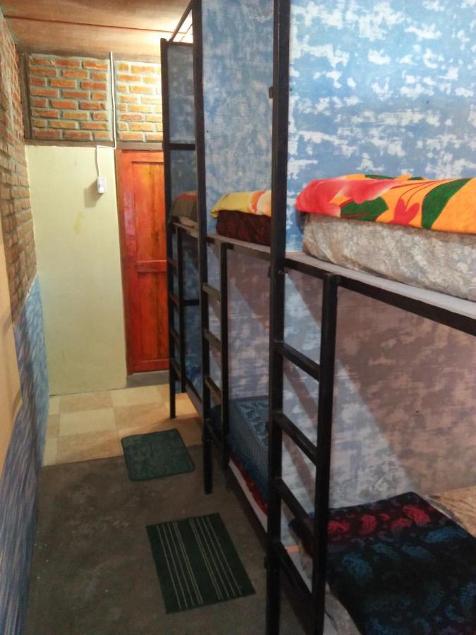 Salty Dog Hostel Telukdalem Bagian luar foto