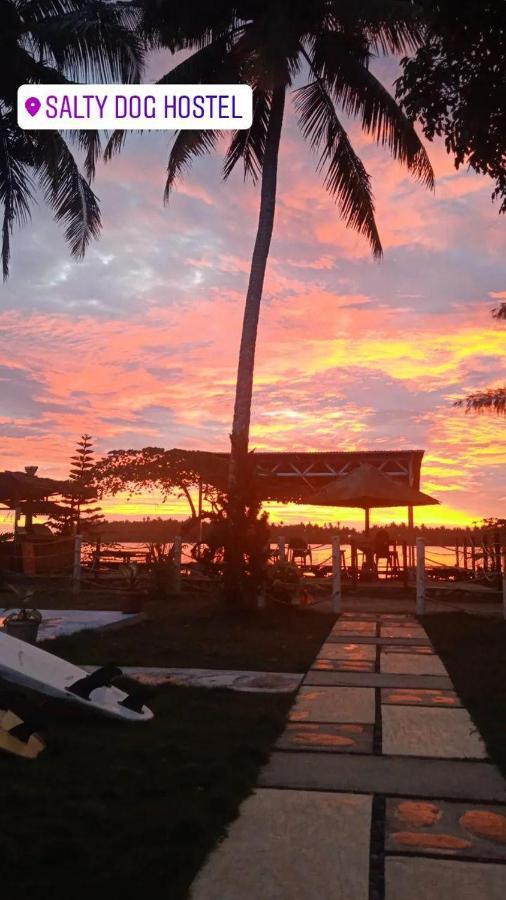 Salty Dog Hostel Telukdalem Bagian luar foto