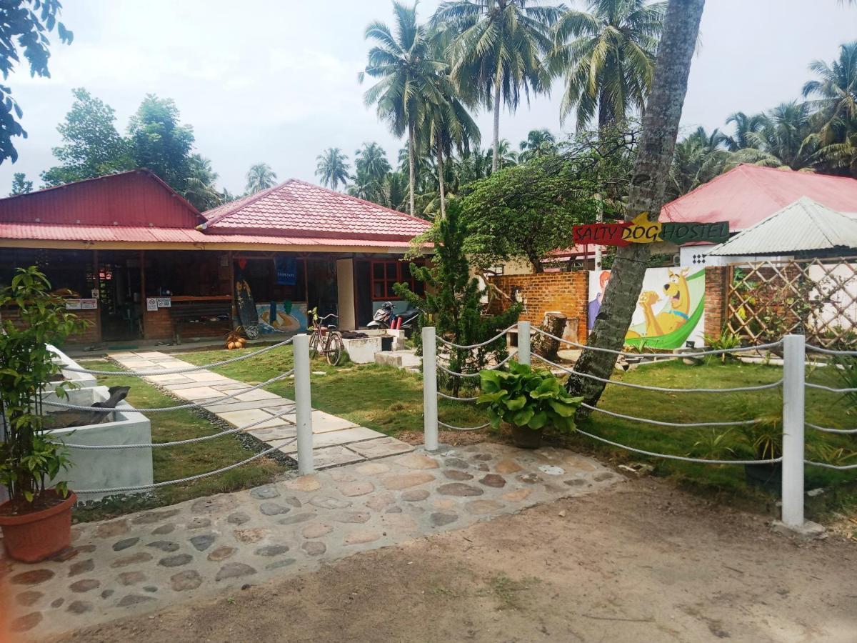 Salty Dog Hostel Telukdalem Bagian luar foto