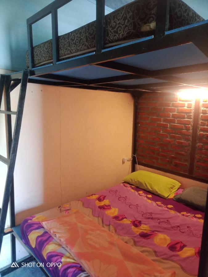 Salty Dog Hostel Telukdalem Bagian luar foto